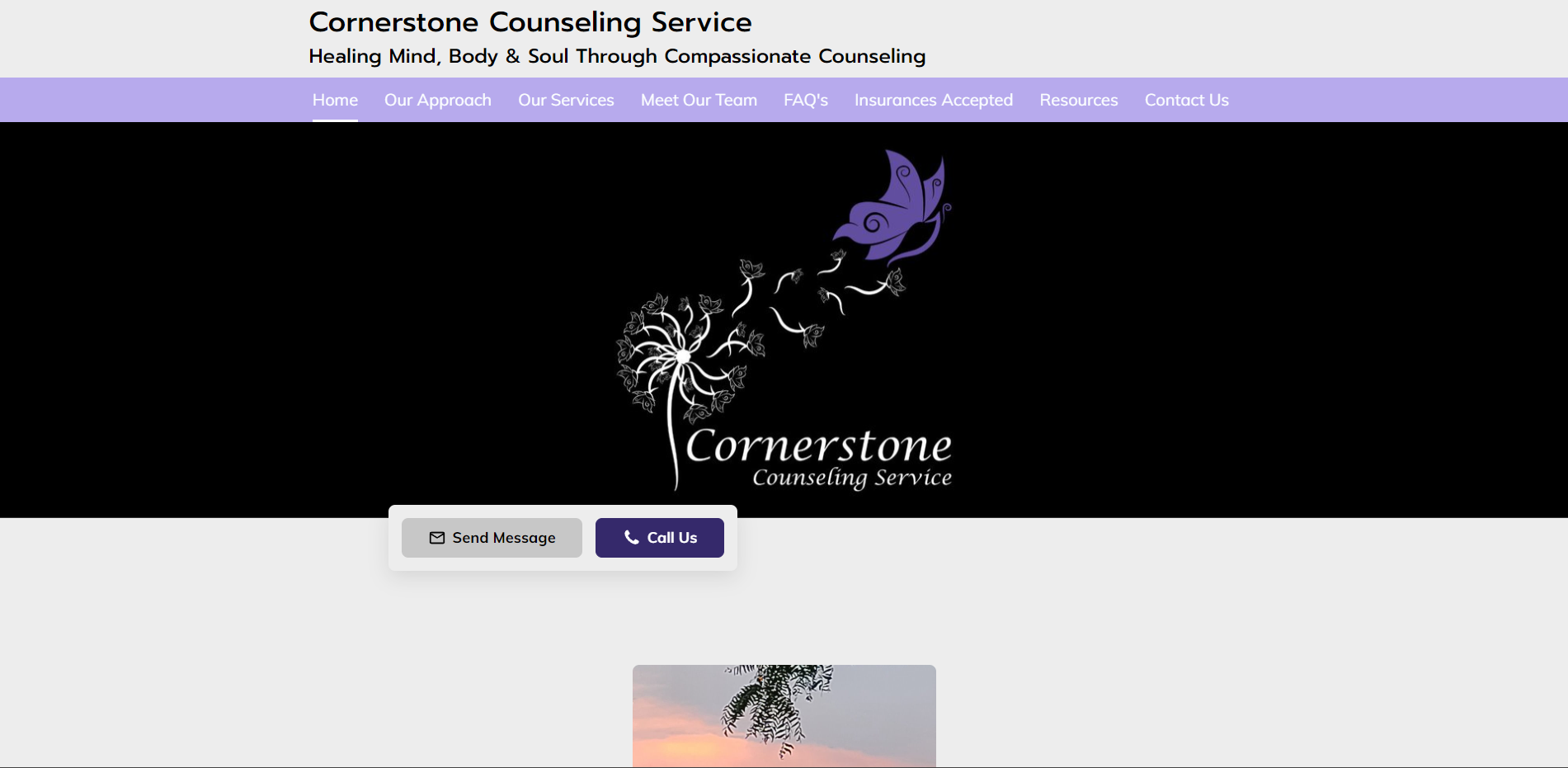 Evolve Therapy website screenshot
